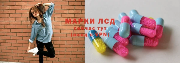 ГАЛЛЮЦИНОГЕННЫЕ ГРИБЫ Алзамай