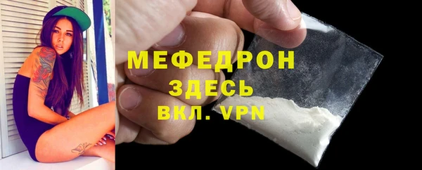 индика Абаза