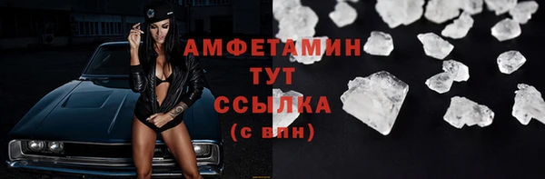 индика Абаза