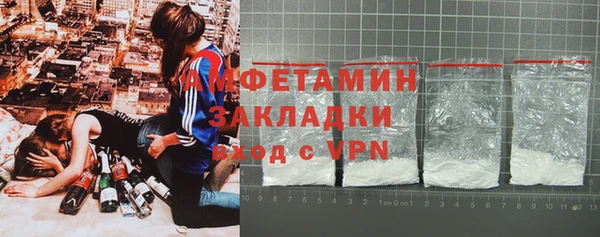 индика Абаза