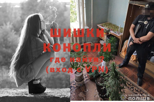 герыч Россошь