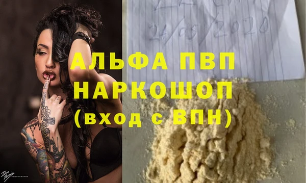 индика Абаза